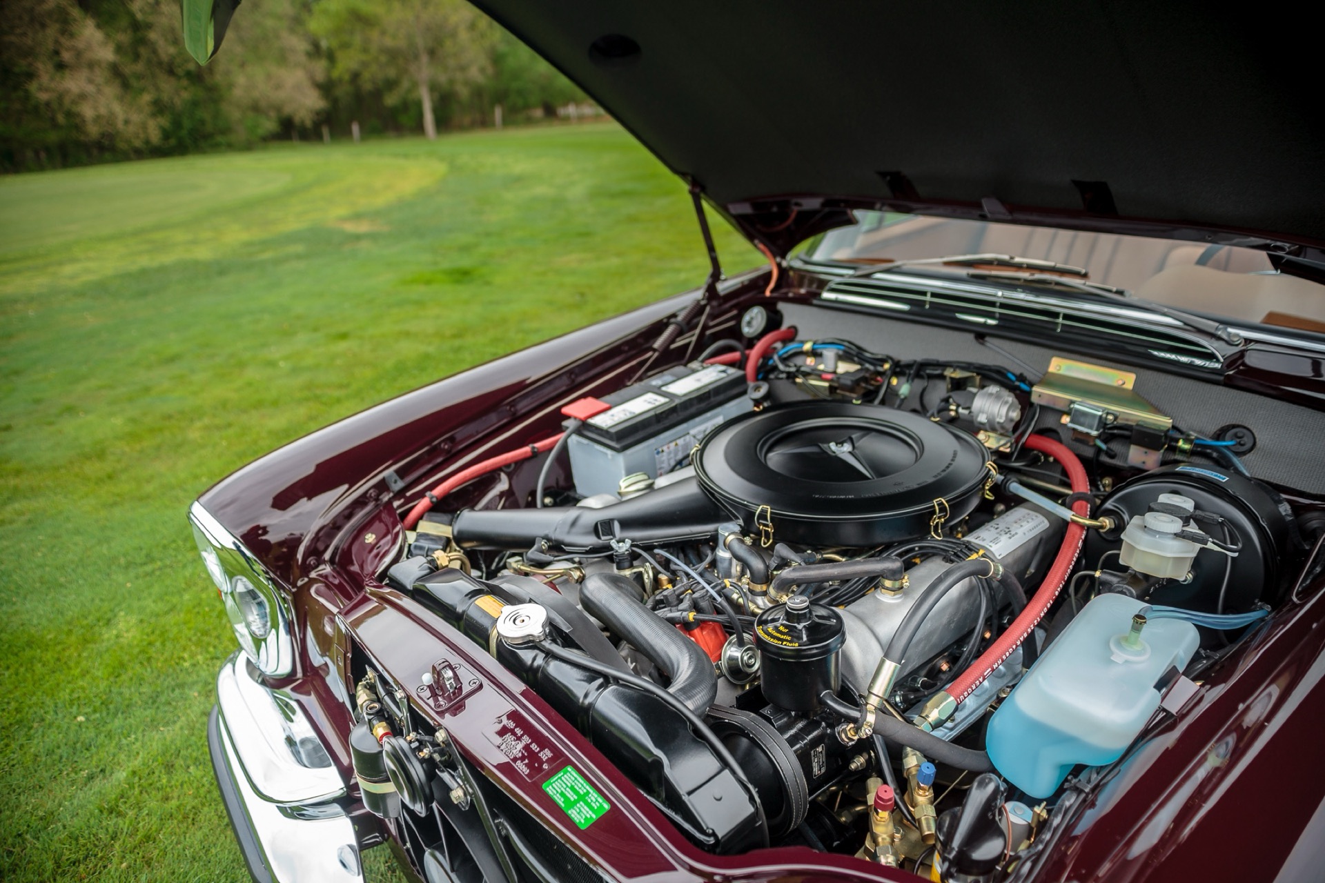 Restored engine bay of a maroon W111 under the open bonnet
